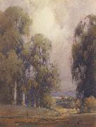 unknow artist Eucalyptus Landscape china oil painting reproduction